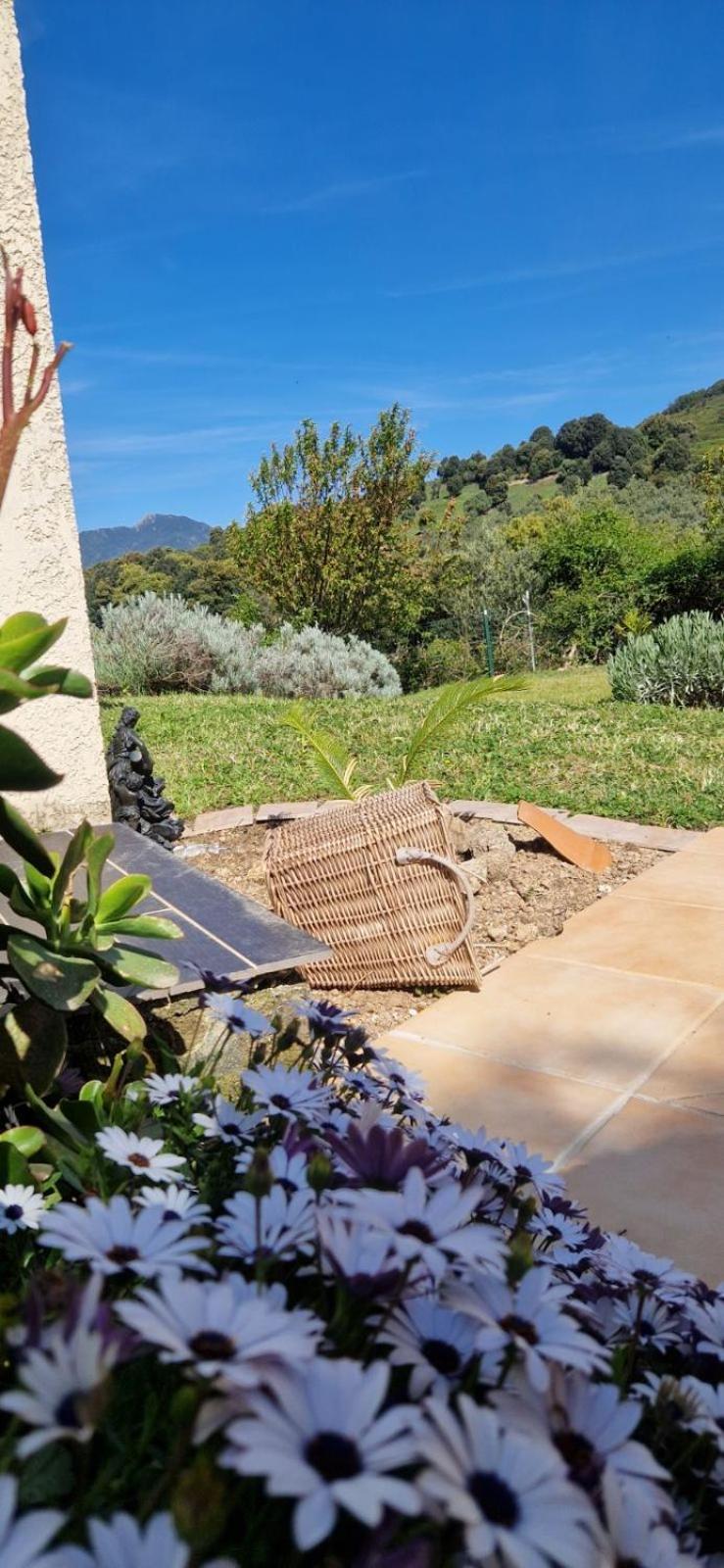 Bed and Breakfast Mare E Monti Chez Thomas Et Magali Vico Esterno foto